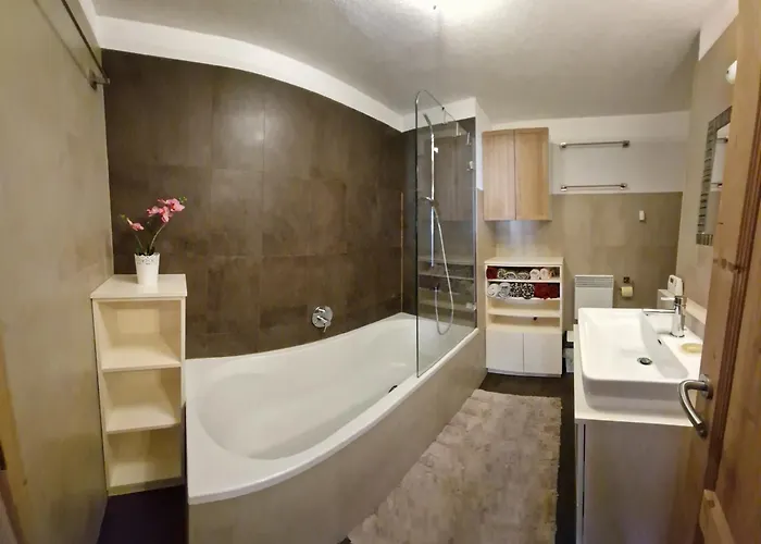 Saal Life Apartment Saalbach-Hinterglemm
