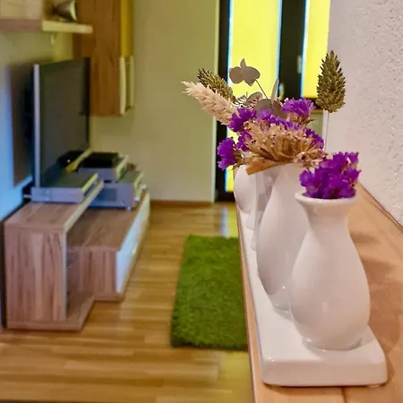 Appartement Saal Life *